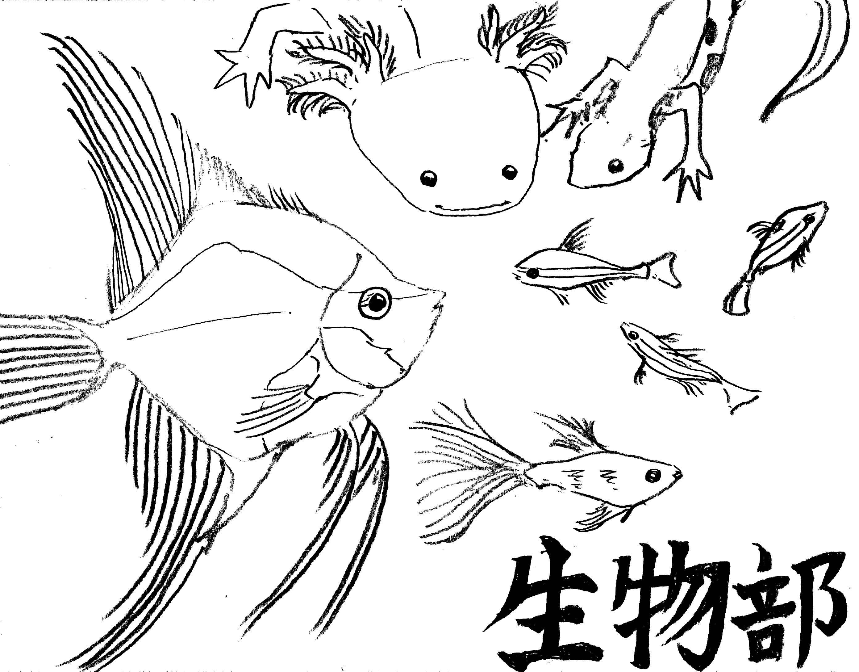 生物部